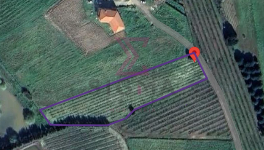 Terreno para Venda em Moita dos Ferreiros Foto 1