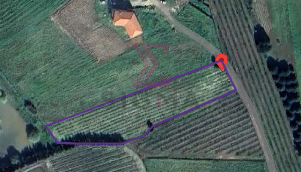 Terreno para Venda em Moita dos Ferreiros Foto 1