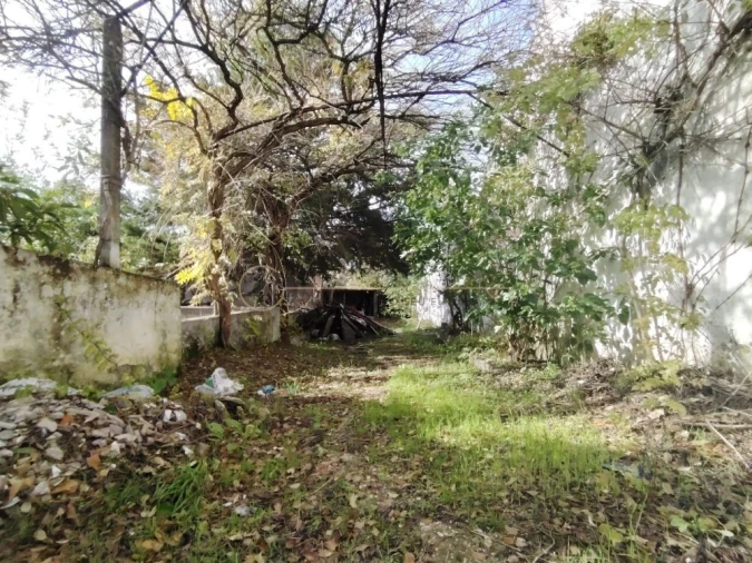 Moradia T4 para Venda em Cartaxo e Vale da Pinta Foto 29