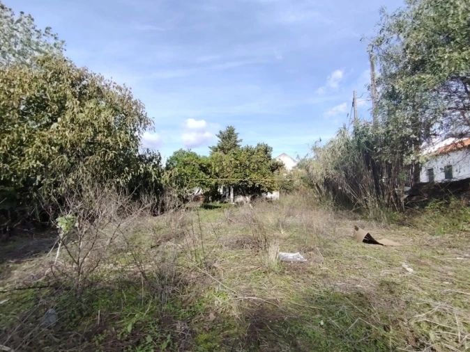 Moradia T4 para Venda em Cartaxo e Vale da Pinta Foto 31