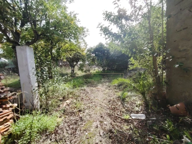 Moradia T4 para Venda em Cartaxo e Vale da Pinta Foto 34