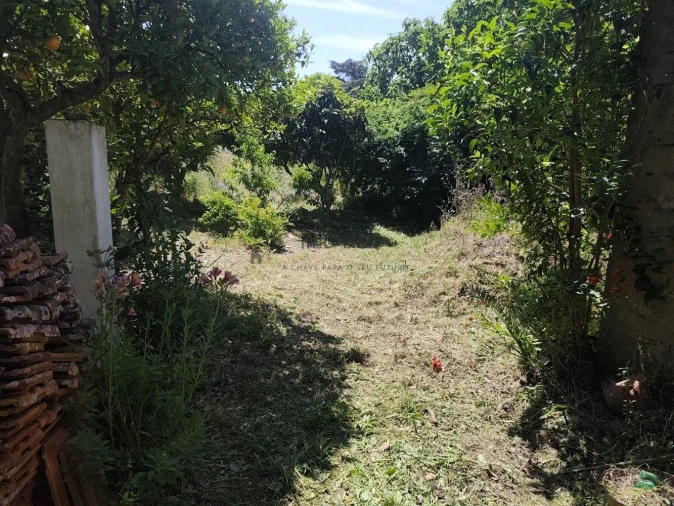 Moradia T4 para Venda em Cartaxo e Vale da Pinta Foto 25