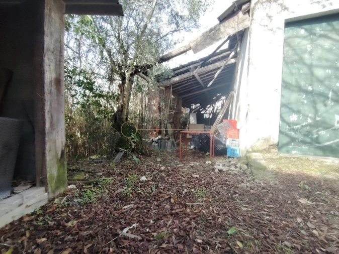 Moradia T4 para Venda em Cartaxo e Vale da Pinta Foto 36