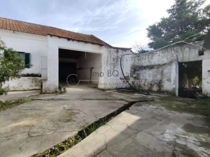 Moradia T4 para Venda em Cartaxo e Vale da Pinta Foto 16