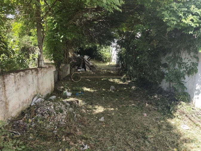 Moradia T4 para Venda em Cartaxo e Vale da Pinta Foto 4