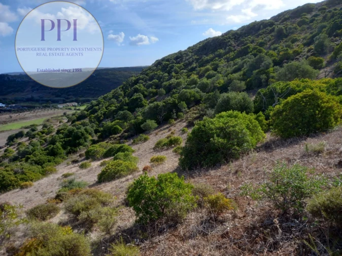 Terreno para Venda em Budens Foto 6