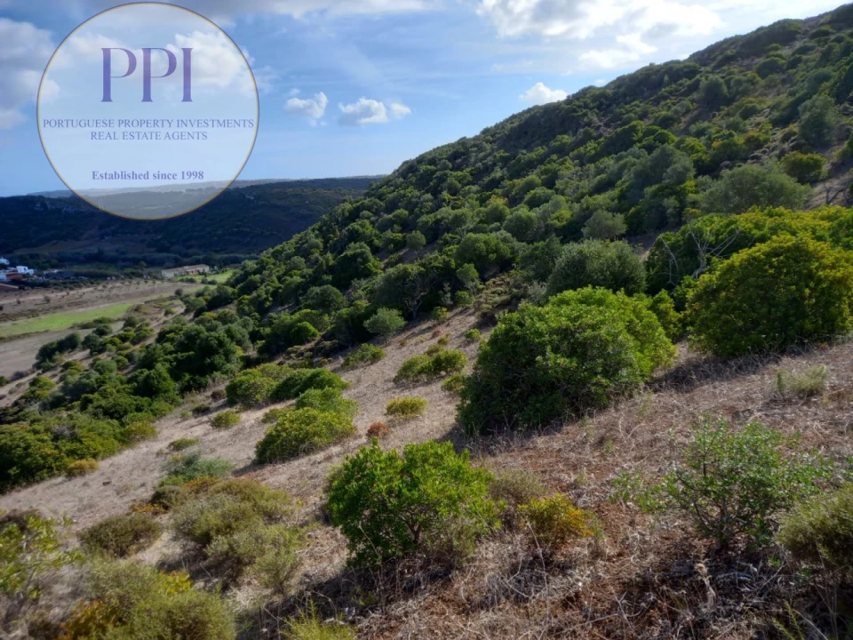 Terreno para Venda em Budens Foto 7