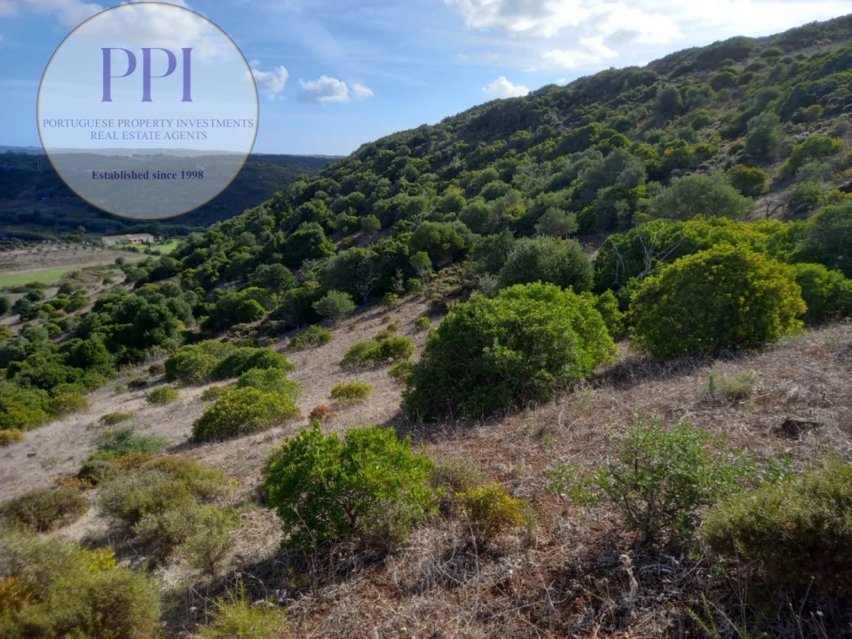 Terreno para Venda em Budens Foto 9