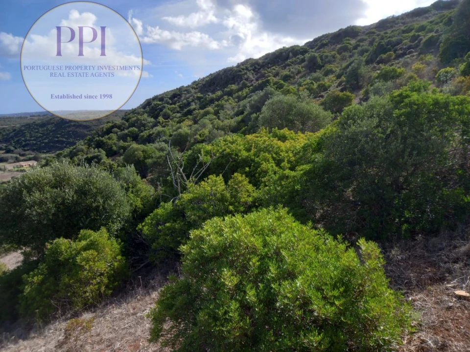 Terreno para Venda em Budens Foto 10