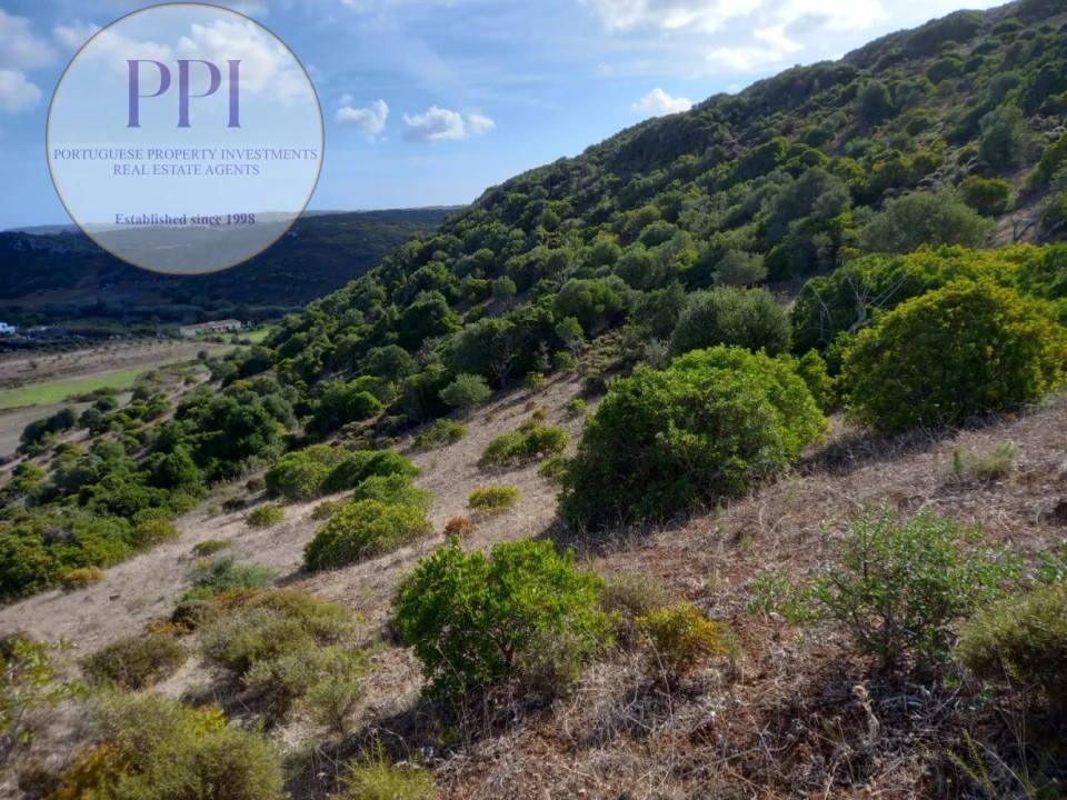 Terreno para Venda em Budens Foto 6