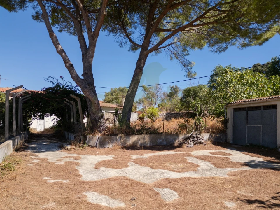 Terreno P/ Prédio para Venda em Loule (São Sebastião) Foto 7