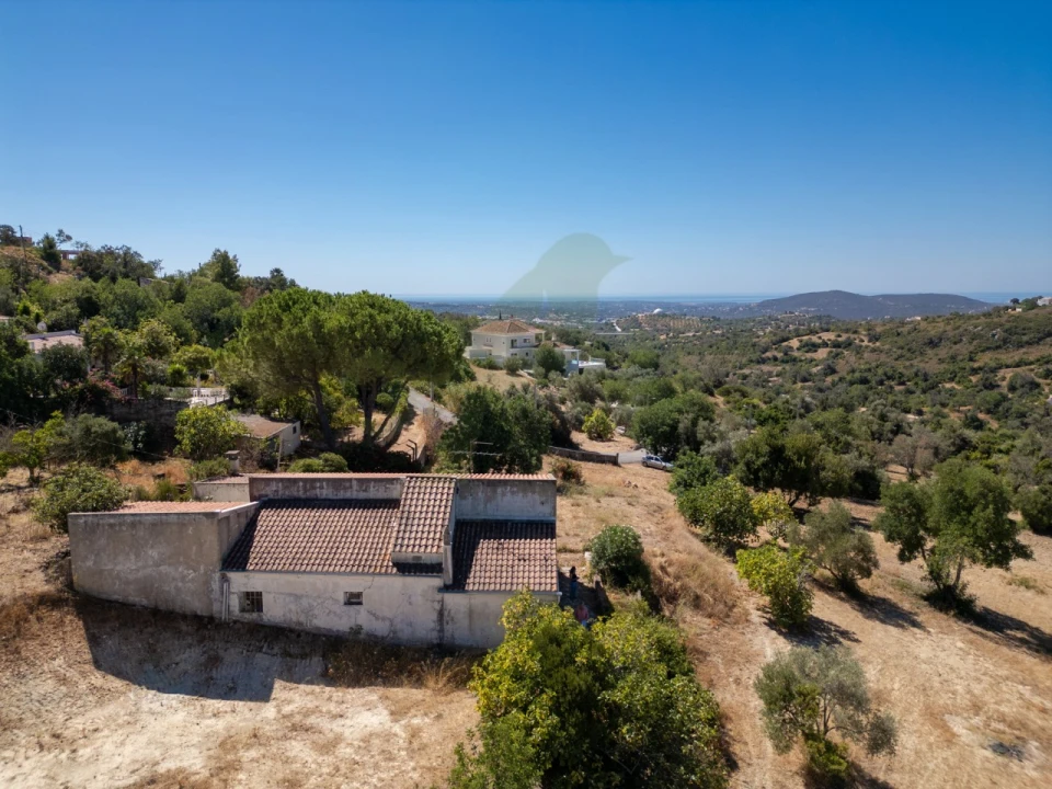 Terreno P/ Prédio para Venda em Loule (São Sebastião) Foto 4