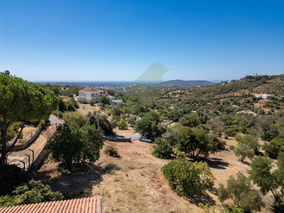 Terreno P/ Prédio para Venda em Loule (São Sebastião) Foto 5