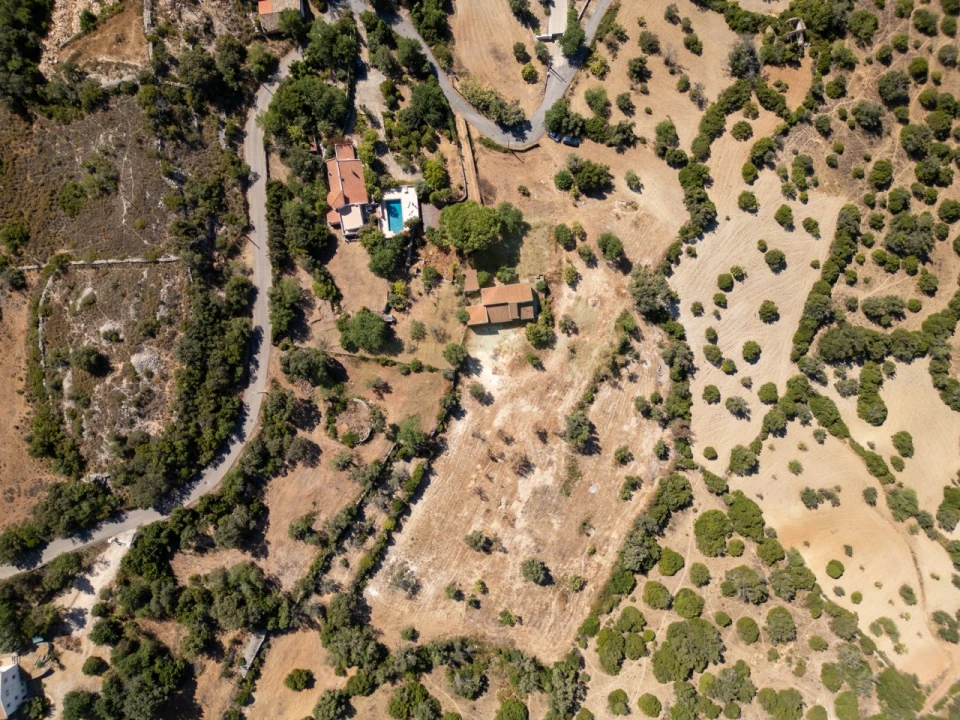 Terreno P/ Prédio para Venda em Loule (São Sebastião) Foto 9