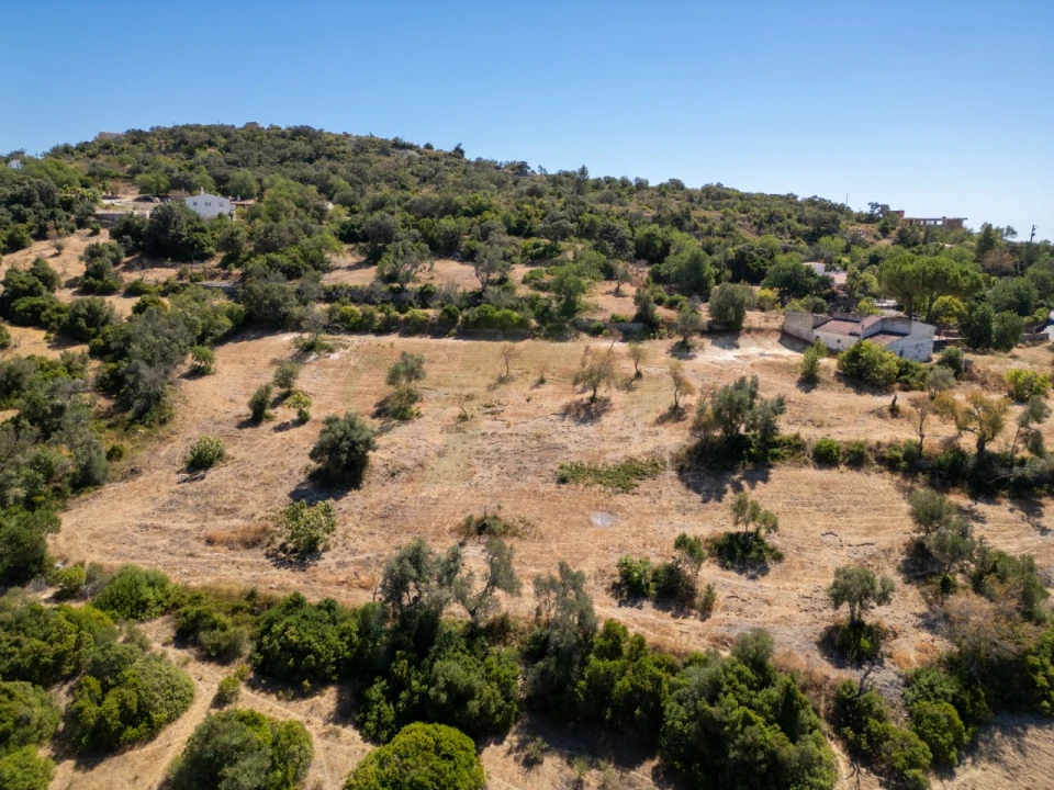 Terreno P/ Prédio para Venda em Loule (São Sebastião) Foto 14