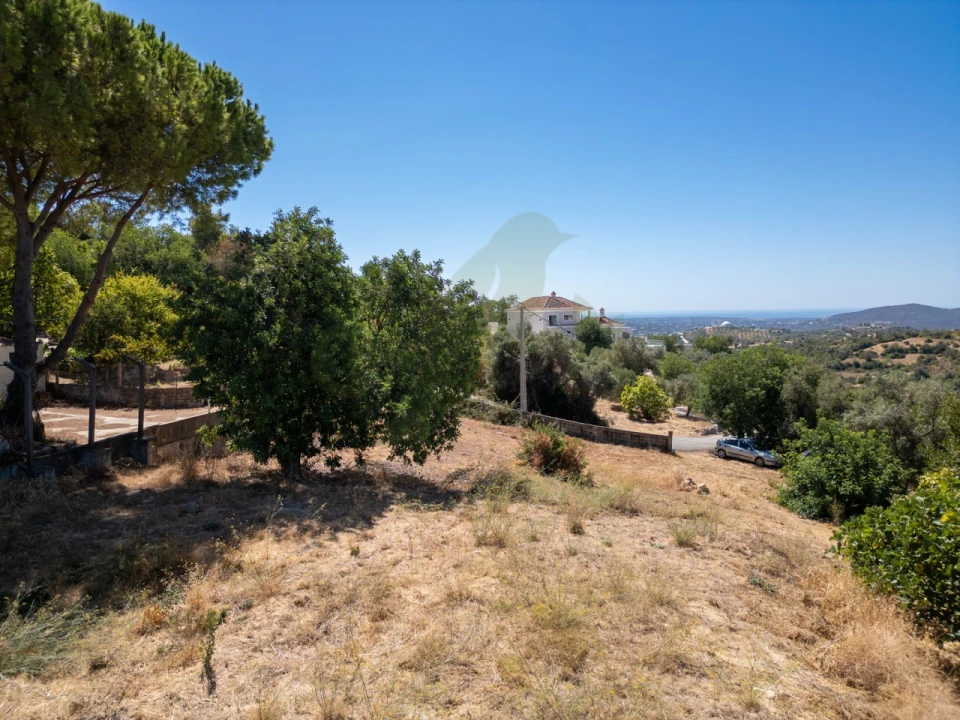 Terreno P/ Prédio para Venda em Loule (São Sebastião) Foto 17