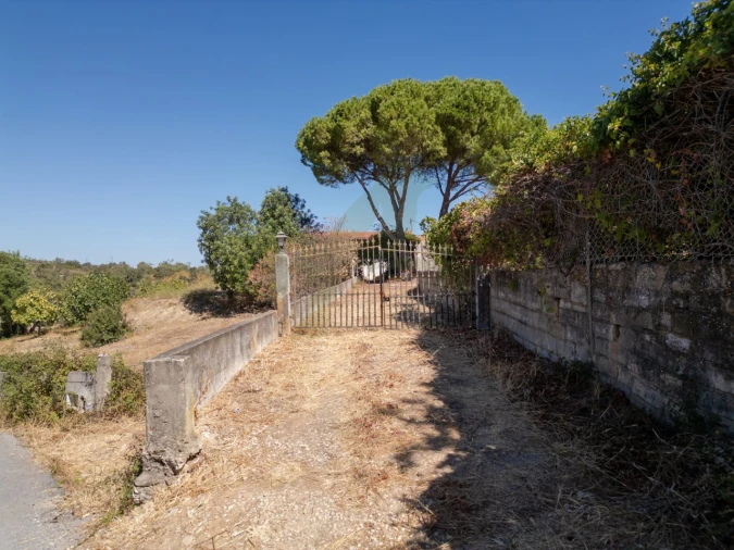 Terreno P/ Prédio para Venda em Loule (São Sebastião) Foto 6