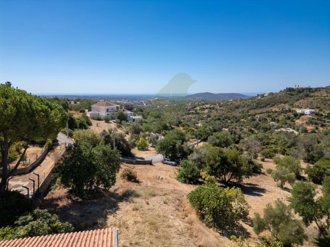 Terreno P/ Prédio para Venda em Loule (São Sebastião) Foto 5