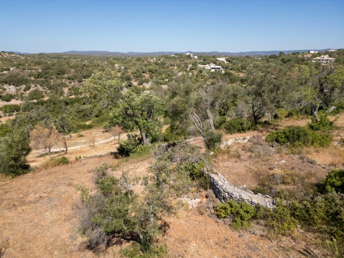Terreno P/ Prédio para Venda em Loule (São Sebastião) Foto 16