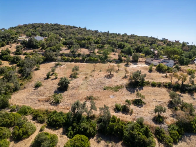 Terreno P/ Prédio para Venda em Loule (São Sebastião) Foto 14