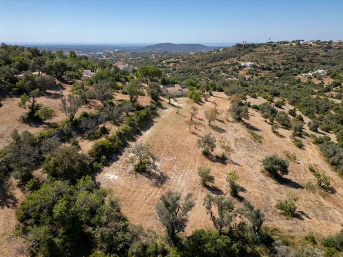 Terreno P/ Prédio para Venda em Loule (São Sebastião) Foto 13
