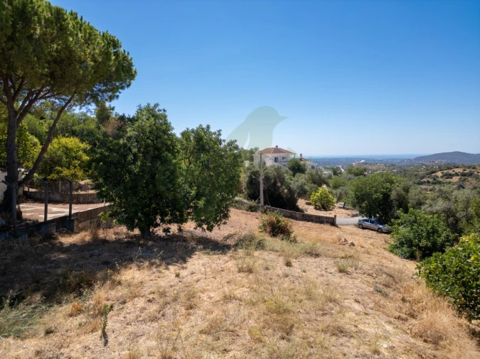 Terreno P/ Prédio para Venda em Loule (São Sebastião) Foto 17