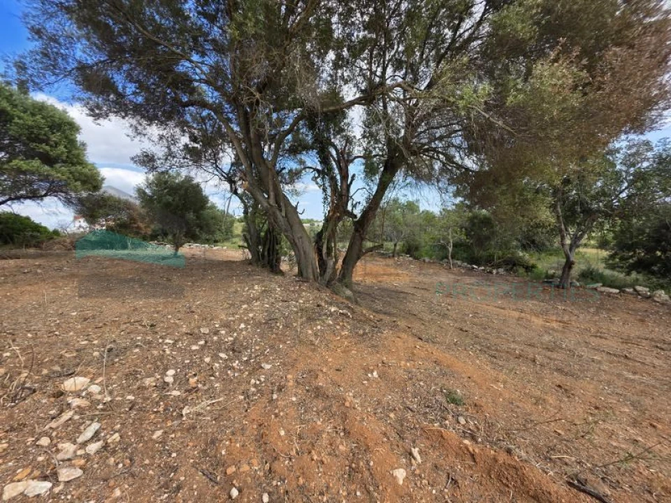 Terreno Agricola ou Rústico para Venda em Boliqueime Foto 7