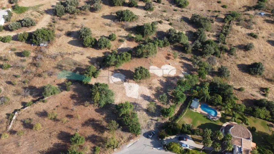 Terreno Agricola ou Rústico para Venda em Boliqueime Foto 3