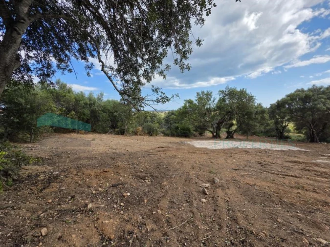 Terreno Agricola ou Rústico para Venda em Boliqueime Foto 4
