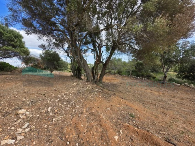Terreno Agricola ou Rústico para Venda em Boliqueime Foto 7