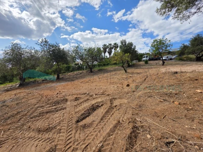 Terreno Agricola ou Rústico para Venda em Boliqueime Foto 8