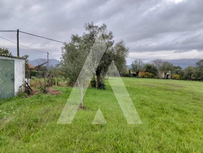 Terreno para Venda em Geraz do Lima (Santa Maria, Santa Leocádia, Moreira), Deão Foto 9