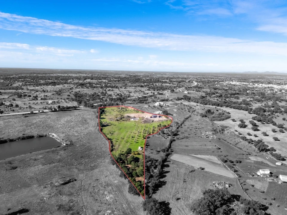 Moradia T3 para Venda em Alpalhão Foto 27