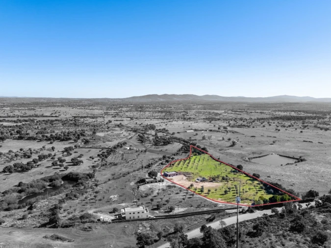 Moradia T3 para Venda em Alpalhão Foto 29