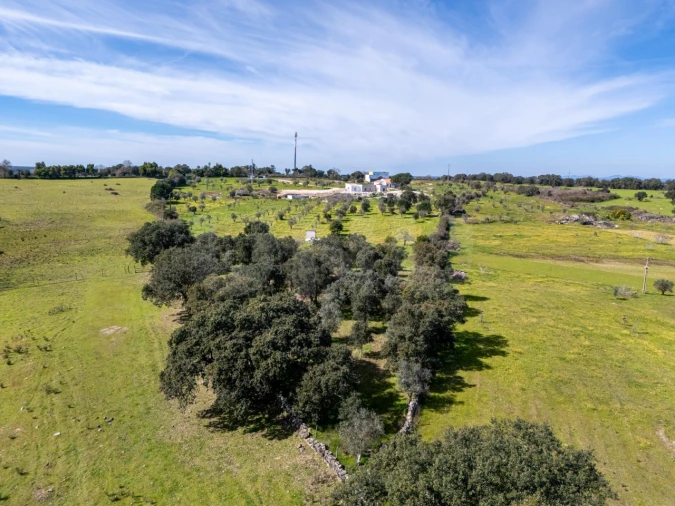 Moradia T3 para Venda em Alpalhão Foto 26