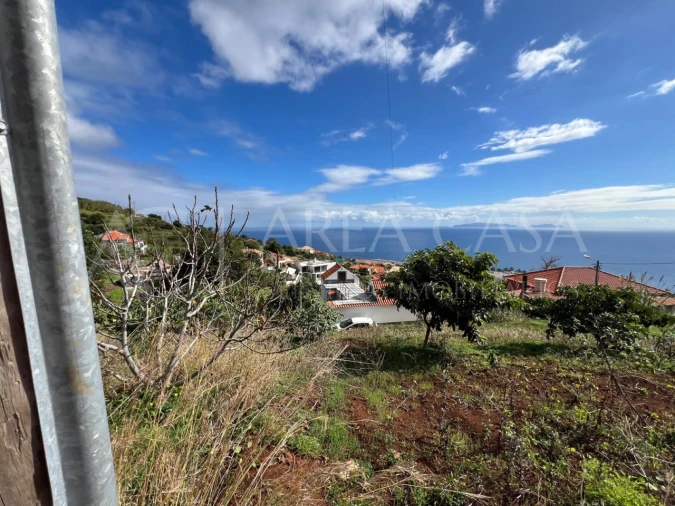 Terreno para Venda em Santa Cruz Foto 4