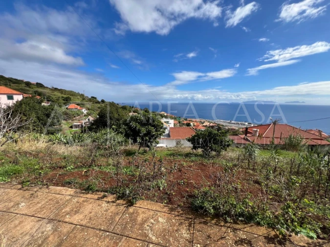 Terreno para Venda em Santa Cruz Foto 6