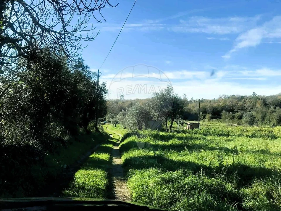 Terreno para Venda em Ferreira do Zezere Foto 5