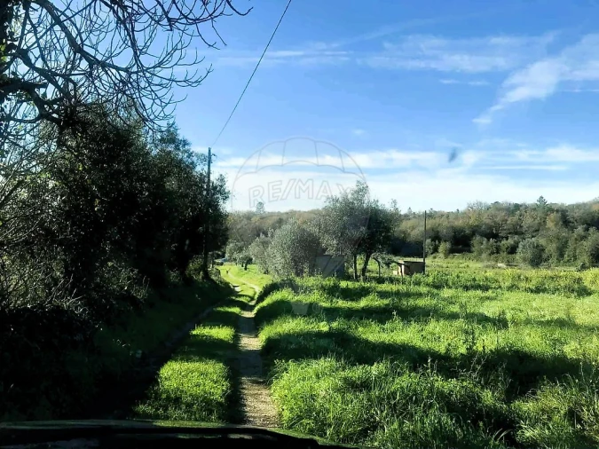Terreno para Venda em Ferreira do Zezere Foto 5