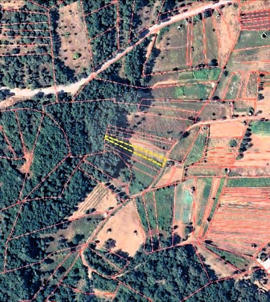 Terreno para Venda em Ferreira do Zezere Foto 7