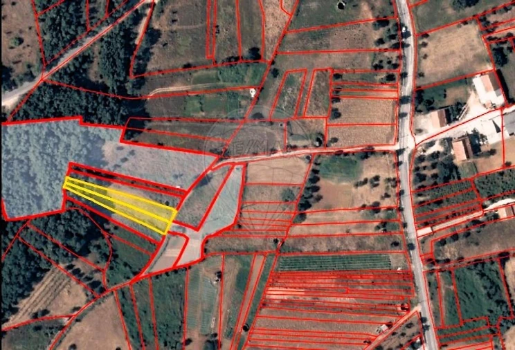 Terreno para Venda em Ferreira do Zezere Foto 8