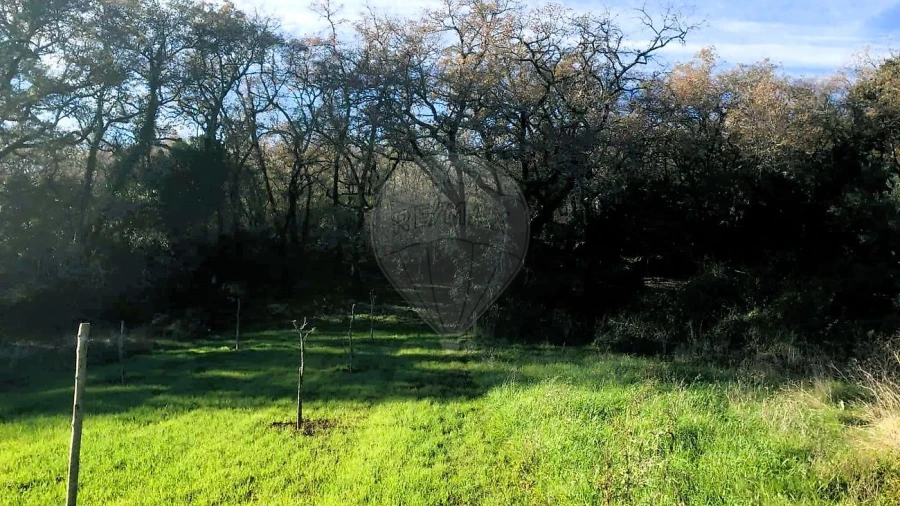 Terreno para Venda em Ferreira do Zezere Foto 2