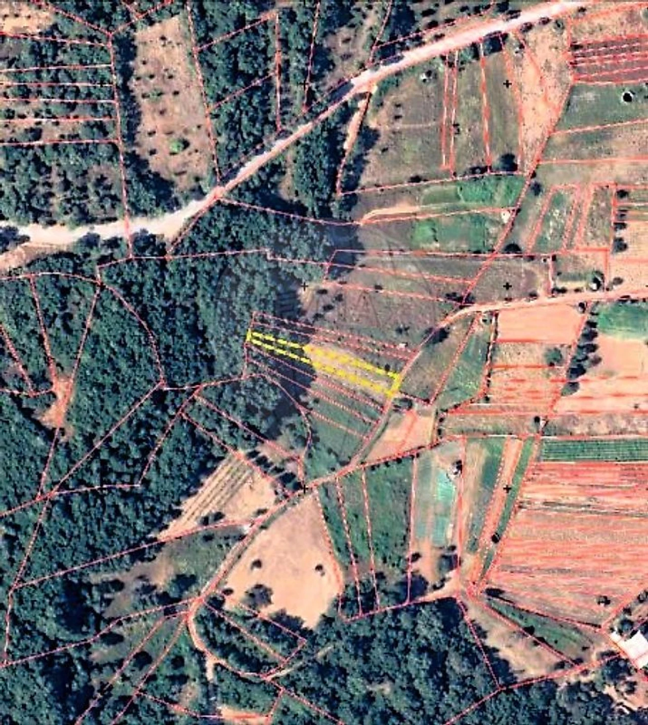 Terreno para Venda em Ferreira do Zezere Foto 6