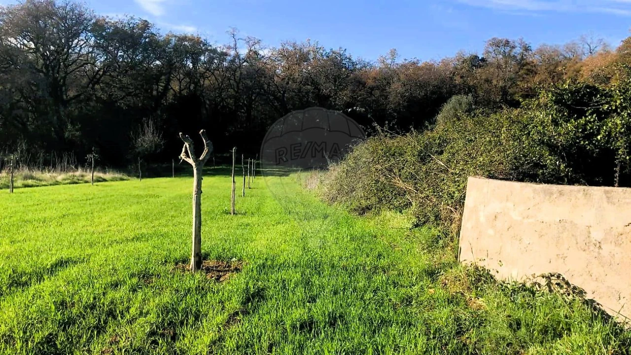 Terreno para Venda em Ferreira do Zezere Foto 4
