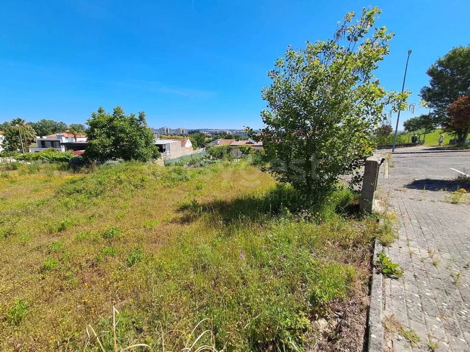 Terreno para Venda em Torres Novas (Santa Maria, Salvador e Santiago) Foto 4