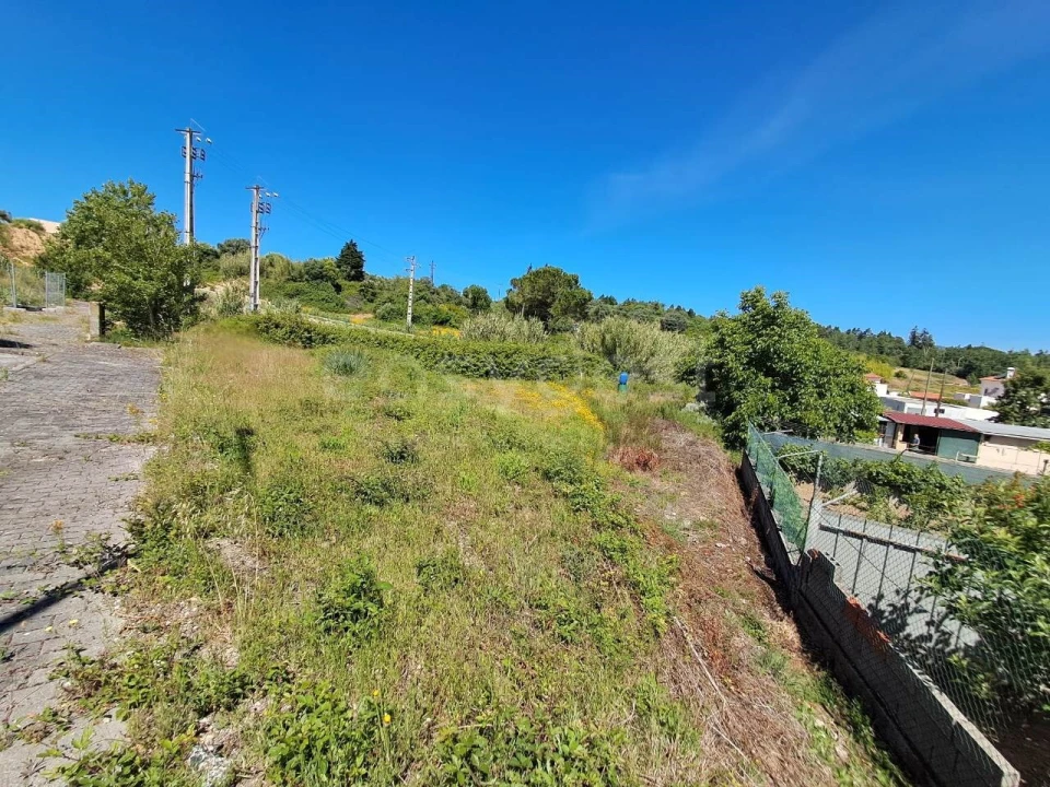 Terreno para Venda em Torres Novas (Santa Maria, Salvador e Santiago) Foto 7