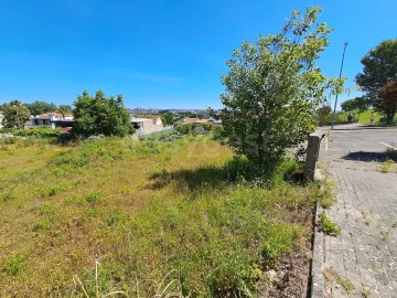Terreno para Venda em Torres Novas (Santa Maria, Salvador e Santiago)