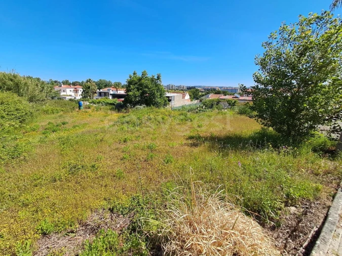 Terreno para Venda em Torres Novas (Santa Maria, Salvador e Santiago) Foto 2