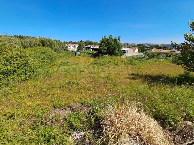 Terreno para Venda em Torres Novas (Santa Maria, Salvador e Santiago) Foto 3