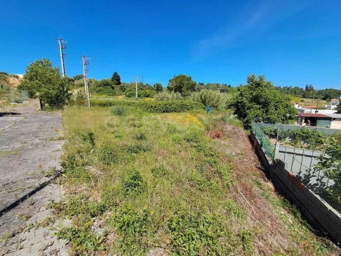 Terreno para Venda em Torres Novas (Santa Maria, Salvador e Santiago) Foto 5
